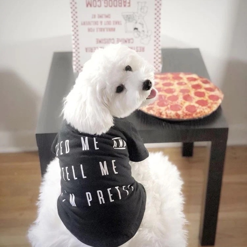 fabdog "Feed Me & Tell Me I'm Pretty" Dog T-Shirt - XL and M